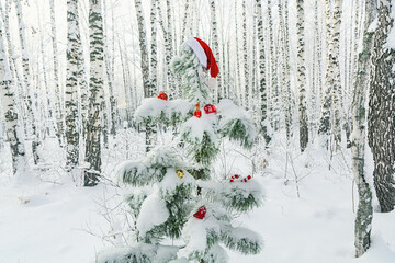A Christmas tree was decorated for Christmas in a snowy forest. Decorated Christmas fir is in the winter park