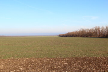 Winter plowed agricultural field in a warm climatic zone, background in a small haze