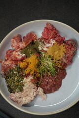 a bowl of nutritious dog food, considering a healthy feast
