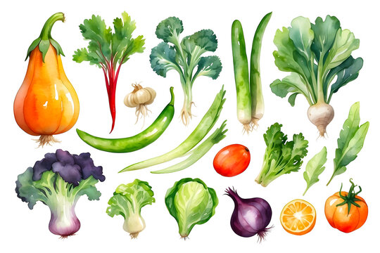 Set of watercolor vegetables isolated on transparent background