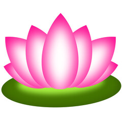 Lotus Pink Petals Illustration - yoga lotus