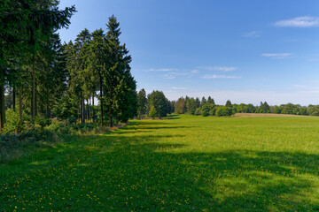 Rhönlandschaft zwischen Pferdskopf und Wasserkuppe, Gemeinde Poppenhausen, Biosphärenreservat Rhön, Hessen, Deutschland