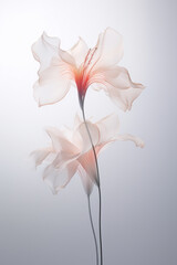 Art background with transparent x-ray flowers