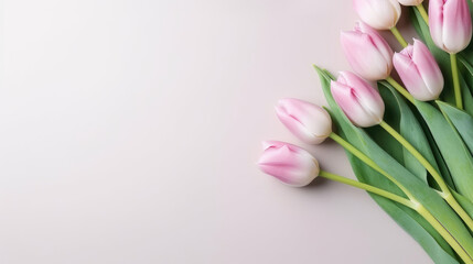 Fototapeta premium Beautiful light pink tulips on a beige background with copy space for text. Top view. Spring background.