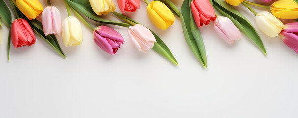 Beautiful tulips in pink, yellow, red and white on a white background with copy space for text at the bottom. Spring background.