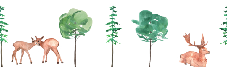 Woodland wildlife border. Illustration with animal and tree. Watercolor animal and forest evergreen trees on white background.