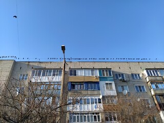 A large flock of crows sitting on the roof of an apartment building