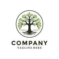 Tree of Life Root and Leaf logo design, Abstract Balance Oak Banyan Maple logo vector illustration