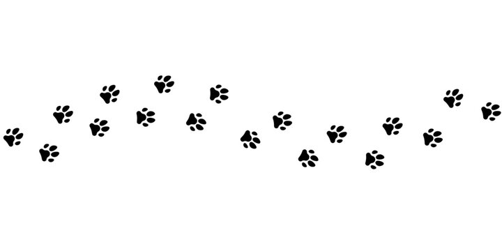 Paw print pets waling icon background
