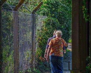 An elderly authentic English couple in summer clothes walks along a metal mesh fence among green thickets on an autumn day. Realistic concept of love, relationship, retirement or lifestyle