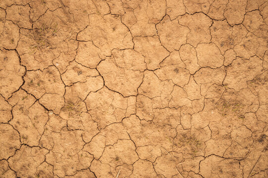 Dehydrated earth with cracks. Dry land. Cracked Ground, Earthquake Background, Texture - Powered by Adobe