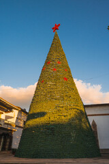 Giant Christmas tree on the esplanade of the Valle de Bravo church.