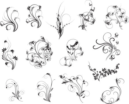set of beautiful floral elements