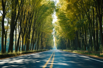 summer empty road surrounded by green trees generative ai