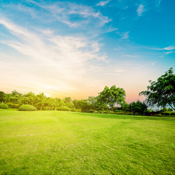 Grassland landscape and greening environment park background