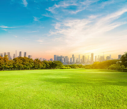wide green grass ground of public park against high building in city