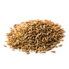 Cumin Seeds A Staple Spice in Indian Cooking