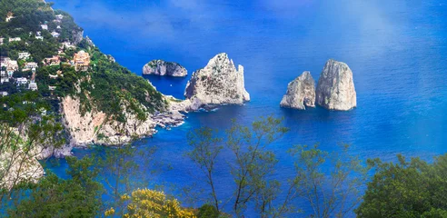 Gardinen most scenic island of Italy and popular resort - beautiful Capri. panoramic view woth famous faraglioni rocks © Freesurf