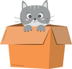 Vector cute gray cat in box isolated on white background