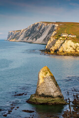 Fototapeta premium Early morning light hitting the Stag Rock at Freshwater Bay, with the white chalk cliffs of Tennyson Down in the background, Isle of Wight.
