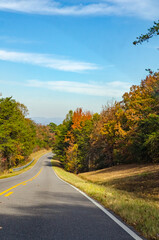 road in autumn forest