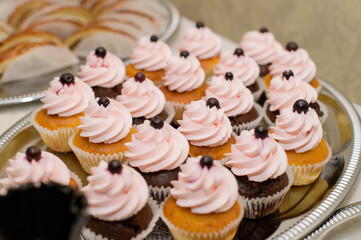 Buffet snacks at a banquet. buffet menu options
