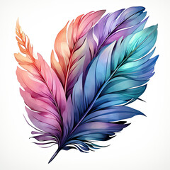 watercolor feather isolated clipart, Generative Ai