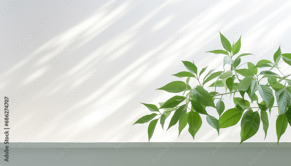 Wall mural green branch on white background in garden ,spring concept