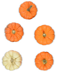 Festive White and Orange Pumpkins Isolated  - High Angle View