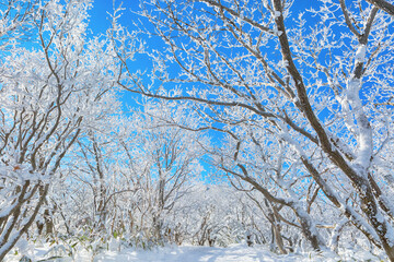 Winter Mountain Snowflake Tracking. A view of a hiking trail in Deogyusan Mountain, Muju-si, Jeollabuk-do, Korea with white snow and frost.