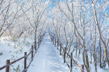 Winter Mountain Snowflake Tracking. A view of a hiking trail in Deogyusan Mountain, Muju-si, Jeollabuk-do, Korea with white snow and frost.