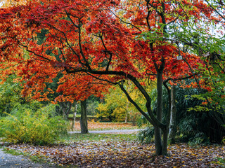 Schönstes Herbstwetter im Park, Marburg an der Lahn 