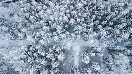 Verschneiter Wald im tiefsten Winter aus der Luft