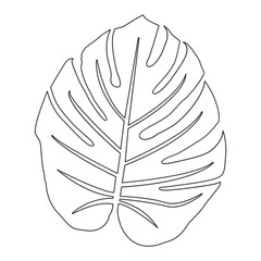 Monstera Leaf. Monstera Ornamental Plant. Outline Vector