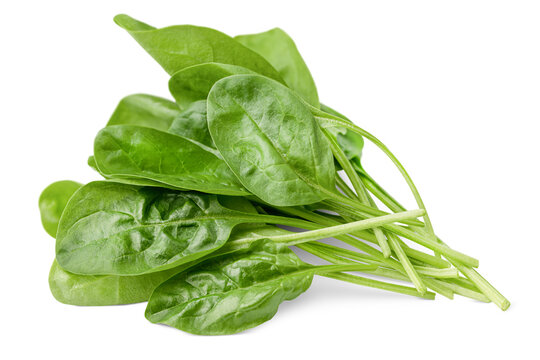 heap of spinach leaves, isolated on white background