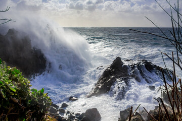 Panorama di Punta Caruso a Forio d'Ischia col mare agitato. Onde altissime si infrangono contro gli...