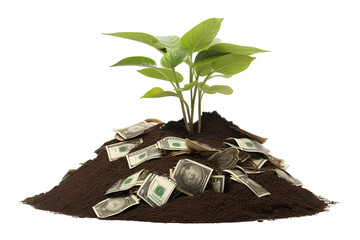 a plant growing in pile of money On Transparent Background - obrazy, fototapety, plakaty
