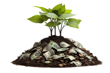 a plant growing in pile of money On Transparent Background
