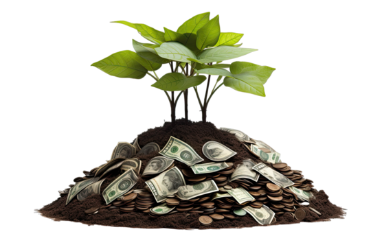 a plant growing in pile of money On Transparent Background