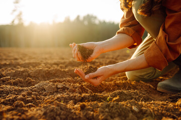 Young female farmer's hands touch dry soil in an agricultural field. A woman agronomist sorts...