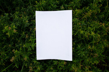 Blank of white A4 sheet on thick green floral background with blurred focus