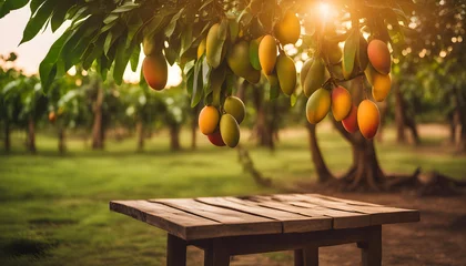 Keuken spatwand met foto Ripe Mango tropical fruit hanging on tree with rustic wooden table and sunset at organic farm © iqra
