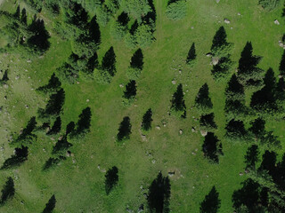 Aerial view of green mountain landscape and alpine meadows