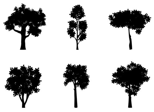 Set of different tree silhouettes. Vector illustrations for landscapes or floral designs.
