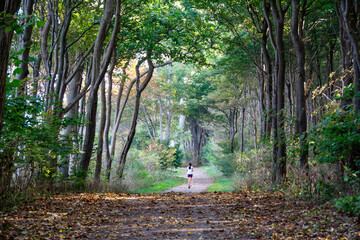 A jogger runs through a forest