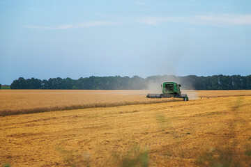 Fototapeta premium The combine harvests wheat on the field. Selective focus.