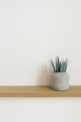 Artificial aloe flower in a gray pot on a wooden table in the decor of apartments in Scandinavian minimalist style with copy space