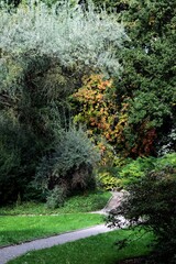 picturesqque landscape with colorful trees at autumn