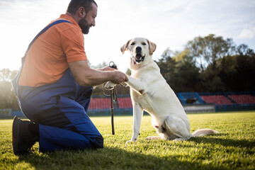 Time to study.Man training his dog.The trainer teaches the dog basic exercises.