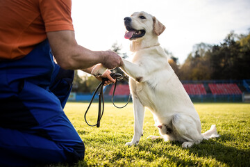 Time to study.Man training his dog.The trainer teaches the dog basic exercises.